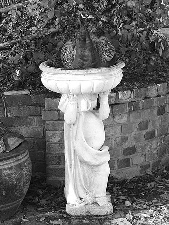 _DSC5576_bw