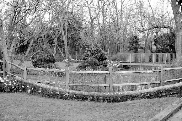 _SCF0744_bw